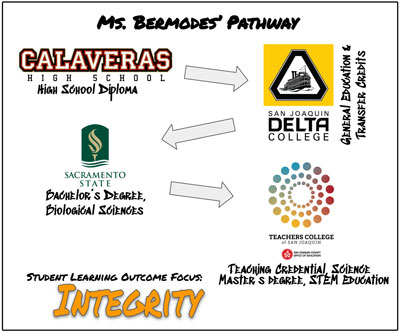 Ms Bermodes pathway